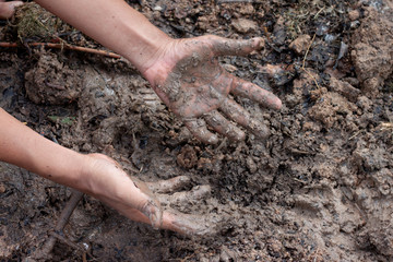 The hands of the farmer that smeared the soil while planting trees.