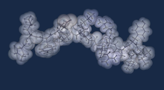 Neurotensin neurotransmitter peptide molecule in DPC micelles. It exerts biological functions in the central and peripheral nervous system. Illustration is represented with semi-transparent surfaces.