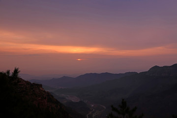 morning glow in the wild