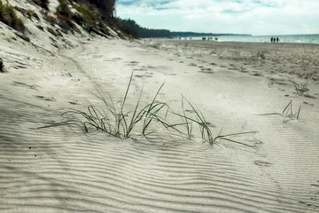 LEBA, POLAND - JULY 24, 2019: Slowinski National Park on the Baltic Sea coast, near Leba, Poland....