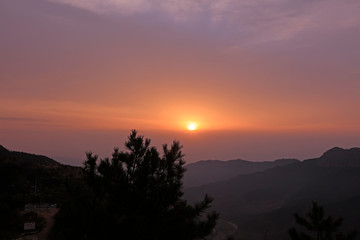 morning glow in the wild