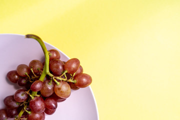Close-up of a bunch of ripe purple grapes on the pink plate in the left-down corner on a yellow background in the sun. 
