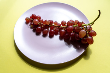 A bunch of ripe purple grapes on the pink plate on a yellow background in the sun. Top-side view. Close-up