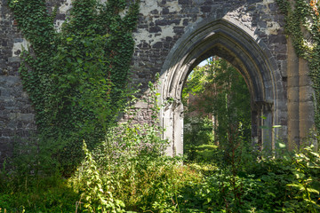 Abbaye d'Aulnes