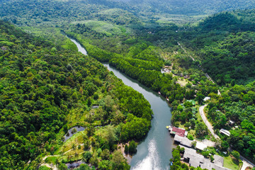 Green tropicl mangrove forest with village in Koh Kood island