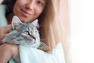 Beautiful woman at home holding and hug her lovely fluffy cat. Gray tabby cute kitten with green eyes. Friend of human. Good sunny morning.