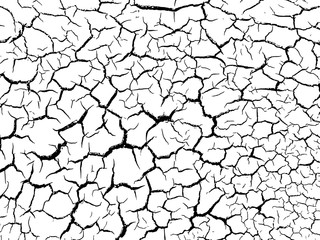 The cracks texture white and black. Vector background.Cracked earth. Structure of cracking. Cracks in dry surface soil texture. shards