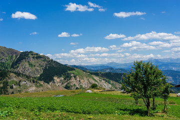 Beautiful summer landscape in Savsat, Artvin province, Turkey