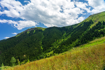 Obraz premium Beautiful summer landscape in Savsat, Artvin province, Turkey