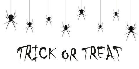 Obraz premium Hanging spiders for decoration and covering on the white background. Creepy background for Halloween. Vector illustration.