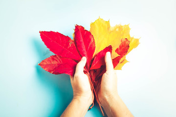 Fall leaves autumn background