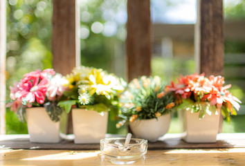  Ashtray in the flower pot grove