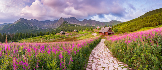 berglandschap, Tatra-gebergte panorama, Polen kleurrijke bloemen en huisjes in de Gasienicowa-vallei (Hala Gasienicowa), zomer
