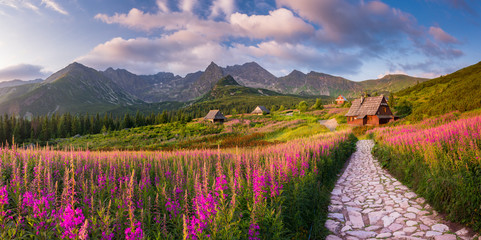 mountain landscape, Tatra mountains panorama, Poland colorful flowers and cottages in Gasienicowa...