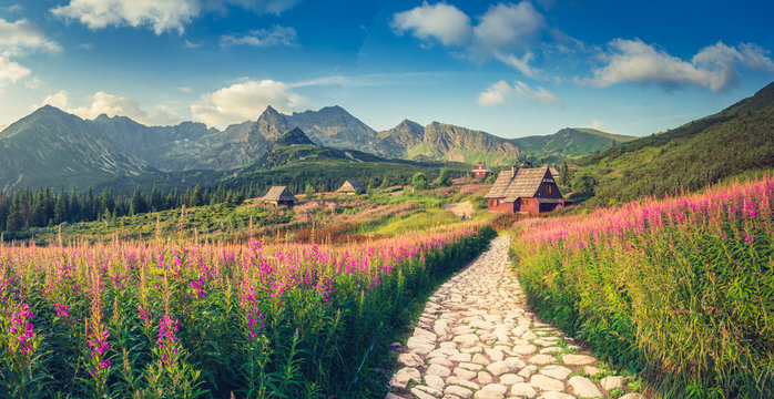 mountain landscape, Tatra mountains panorama, Poland colorful flowers and cottages in Gasienicowa valley (Hala Gasienicowa), summer