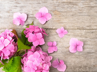 Pink hydrangea flowers on a wooden background. Summer ends. Concept. Background for posting information, place for text.