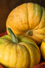 Fresh and organic ripe pumpkin on a dark rustic background. Harvesting autumn concept. Selective focus.