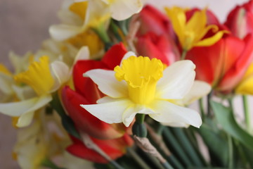 Spring bouquet of daffodils and tulips for 8 of march, birthday, holiday, mother's day, valentine day with greetings