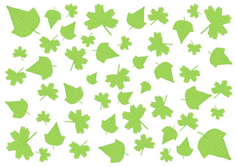 Green Leaves on white background illustration