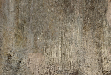 Old wooden texture. Background of weathered boards.