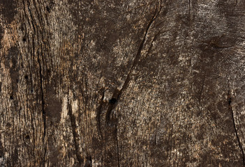 Old wooden texture. Background of weathered boards.