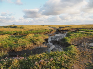 Naklejka premium Światowe dziedzictwo przyrodnicze UNESCO - Park Narodowy Morza Wattowego