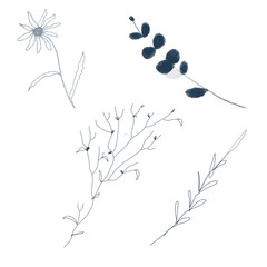 Set with branches. isolated on white background.