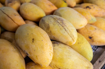 yellow stacks of mango fruits