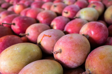 red stacks of mango fruits
