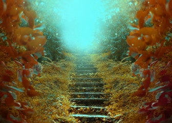 Photo of an old abandoned autumn garden. Dreamlike success staircase leading up to a mysterious...