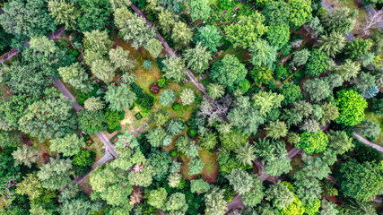 Friedhof in den Kisseln von oben, Berlin-Spandau
