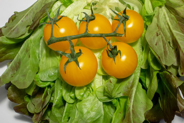 Branch with yellow tomatoes on lettuce leaves