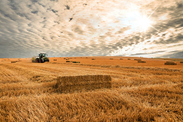 Fototapeta na wymiar tractor and its trailer to make straw bales