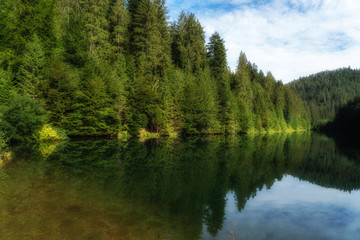 Kinzig drinking water reservoir in the northern Black Forest, the famous coniferous forest in...