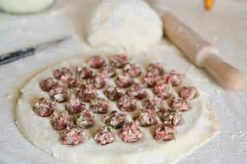 homemade dumplings in a dumpling. Dumplings with minced meat on a table with flour. Selective focus.