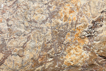 Rock texture in the wild