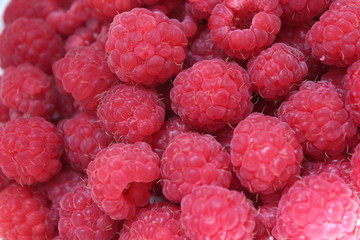 Beautiful background of raspberries in sweet, sunny summer time