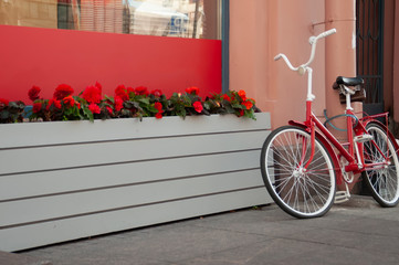 A bicycle is standing by wall.