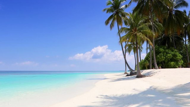 Tropischer Paradiesstrand auf den Malediven mit Palmen, t&uuml;rkisem Ozean und blauem Himmel