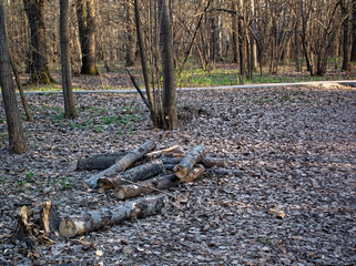 paved path in the Park in spring, Moscow.