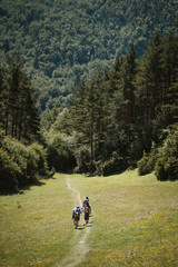 Group of hikers following the trail to the woods