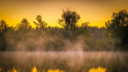 Panorama of tendrils of morning mist on a lake at sunrise and a colorful orange glow in the sky...