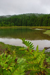 view over Lagoa Do Canario on the island of Sao Miguel, Azores, Portugal