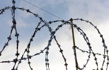 Metallic barbed wire on the wall on sky background