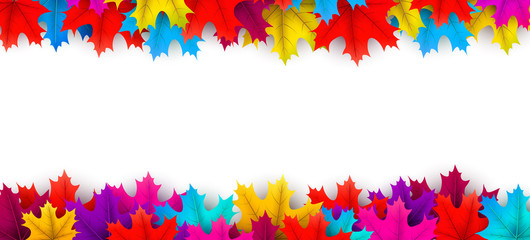 Autumn background with colorful maple leaves.