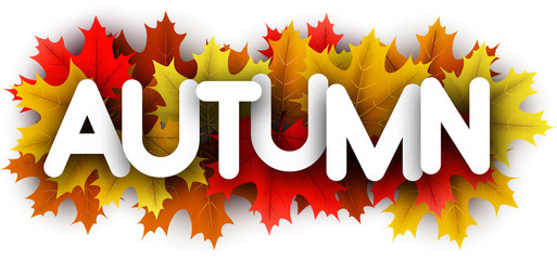 Autumn paper letters sign with color maple leaves.