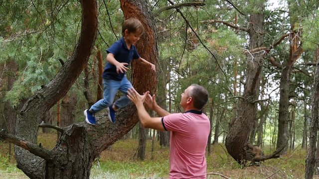 Happy child in a pine forest jumps from a tree, dad catches him in slow motion