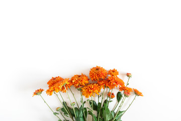 Autumn flowers composition. Orange flowers on white background. Fall concept. Autumn background. Flat lay, top view, copy space