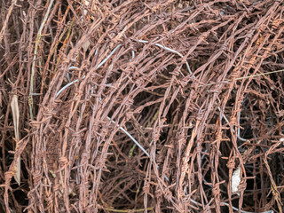 Rustic Tangled Metal Wire Texture