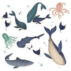 Assorted Illustrated Whales Sharks Sting Rays Octopus And Other Sea Creatures Isolated On A White Background, Surrounded By Bubbles And Fish